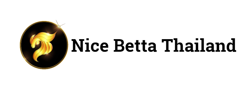 Nice Betta Thailand Champions quality Top quality and rare betta fish for sale with best genetic ready for breeding Competition grade bettas from our farm to your aquarium